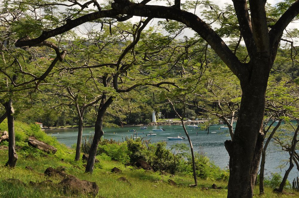 Vue de l'anse à la barque depuis la terre, Guadeloupe