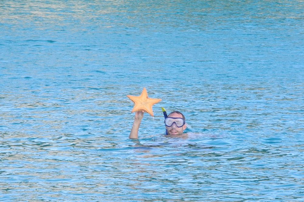 Olivier montre une étoile de mer lors d'un mouillage à l'anse canot de Marie-Galante